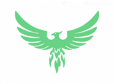 Ashapura Inc