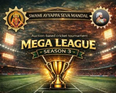 Cricket auction live bidding platform